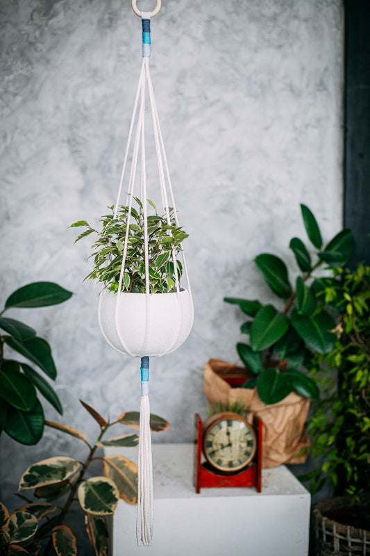 Macrame Plant Hanger Minimalist Colors Pink Yellow Teal Blue