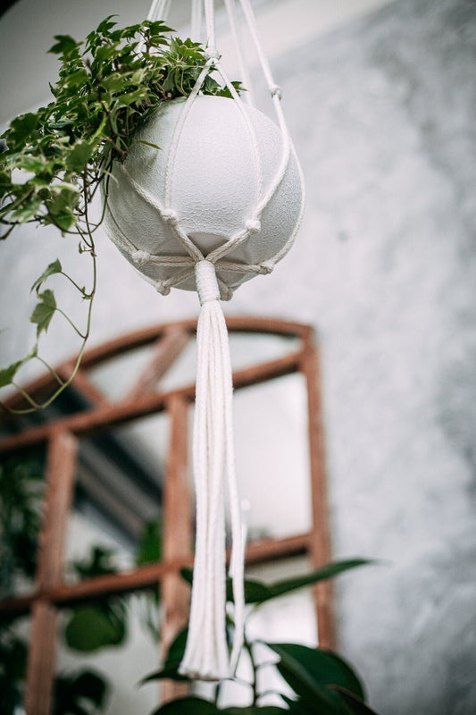 Minimalist Macrame Plant Hanger